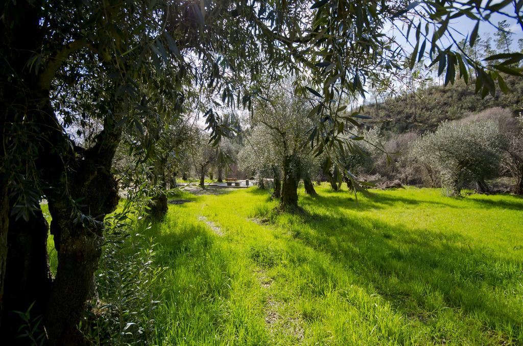 Vila Xisto Sentido Martim Branco Exteriér fotografie